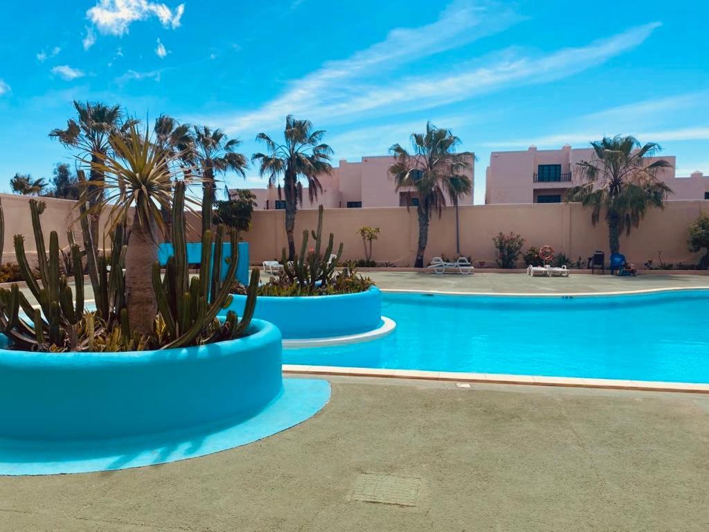 Surf And Chill Bungalow 70 Apartment Parque Holandes Exterior photo