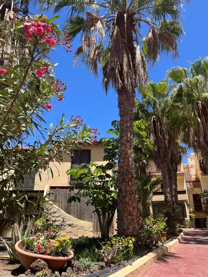 Surf And Chill Bungalow 70 Apartment Parque Holandes Exterior photo