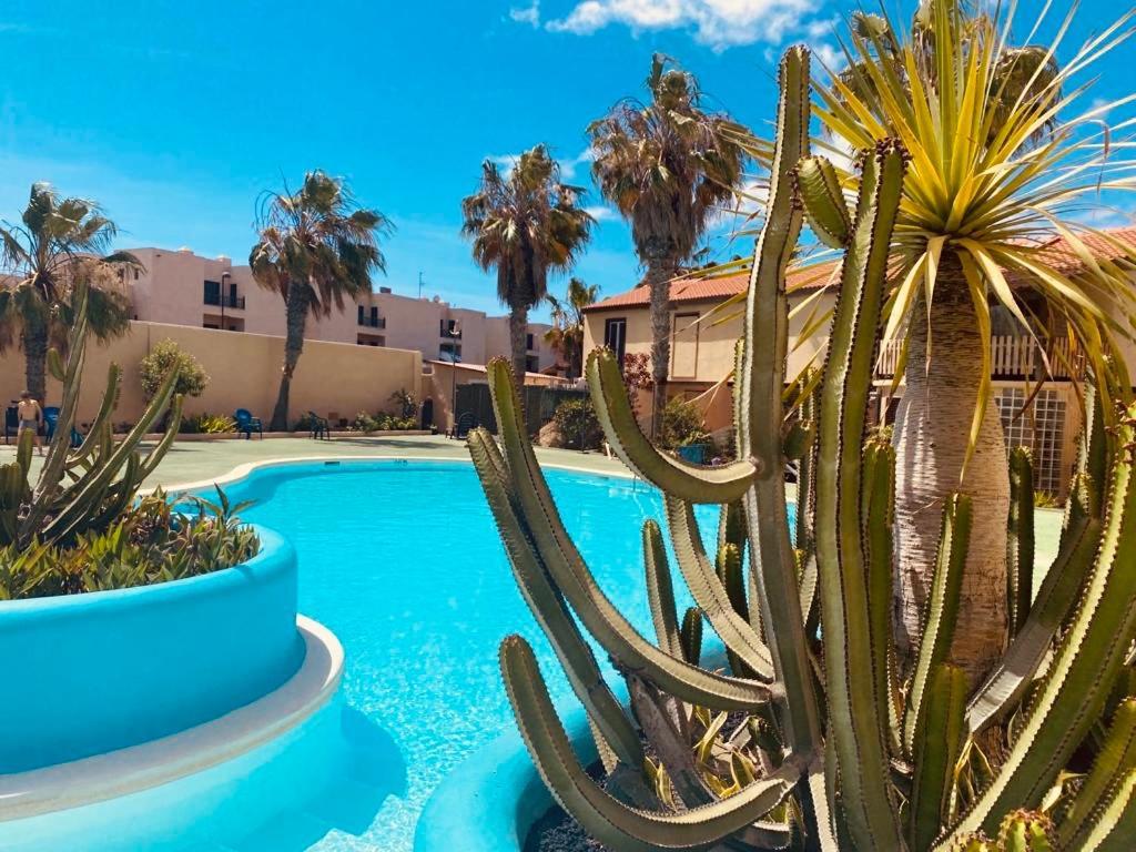 Surf And Chill Bungalow 70 Apartment Parque Holandes Exterior photo