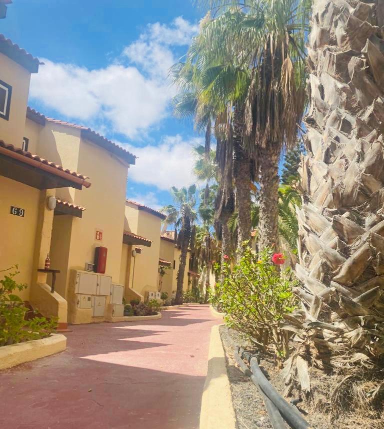 Surf And Chill Bungalow 70 Apartment Parque Holandes Exterior photo